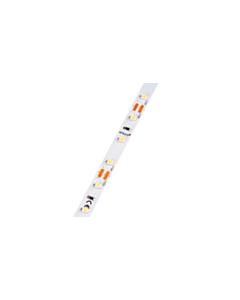 Immagine STRIP LED LYNX PREMIUM 4,8WM IP20_0